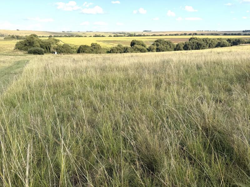 0 Bedroom Property for Sale in Harrismith Free State